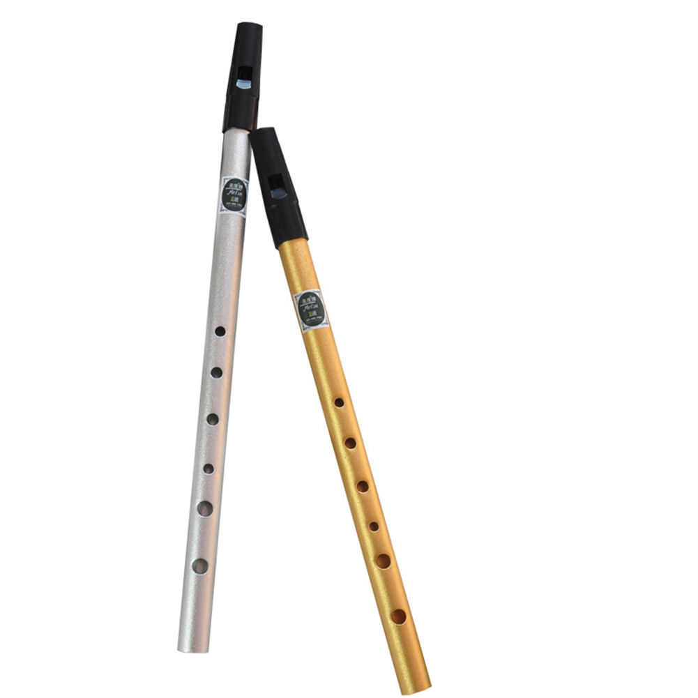 Penny Whistle D - Ireland Huýt Sáo Sáo C/D Chìa