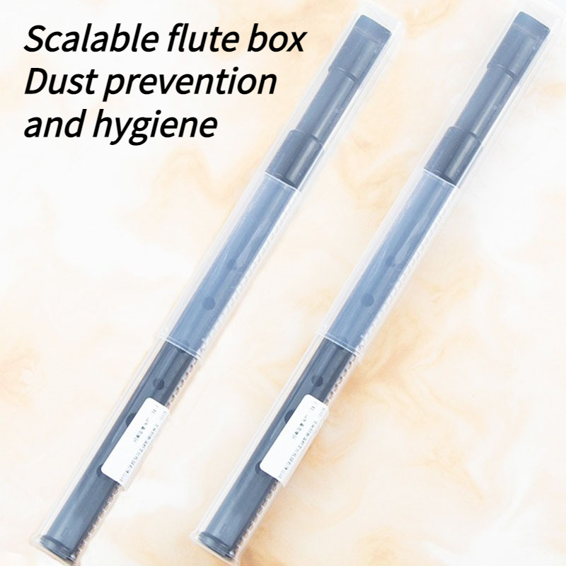 6 Hole Resin Tin Whistle D Key - đánh giá và giá Penny Whistle D