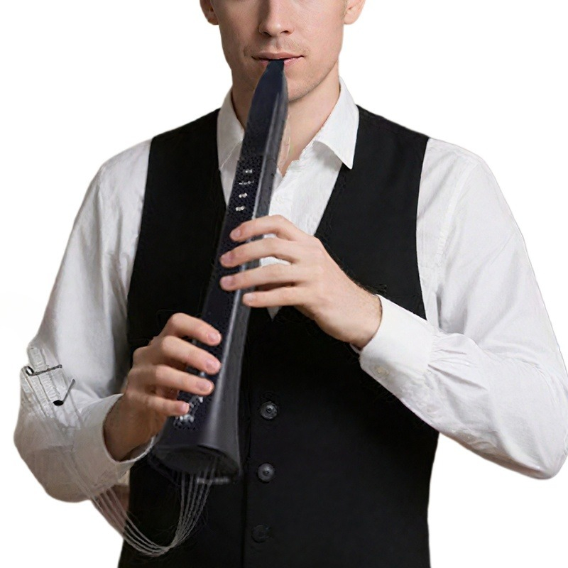 Portable Electronic Wind Instr - đánh giá và giá Musical Instrument For Beginners
