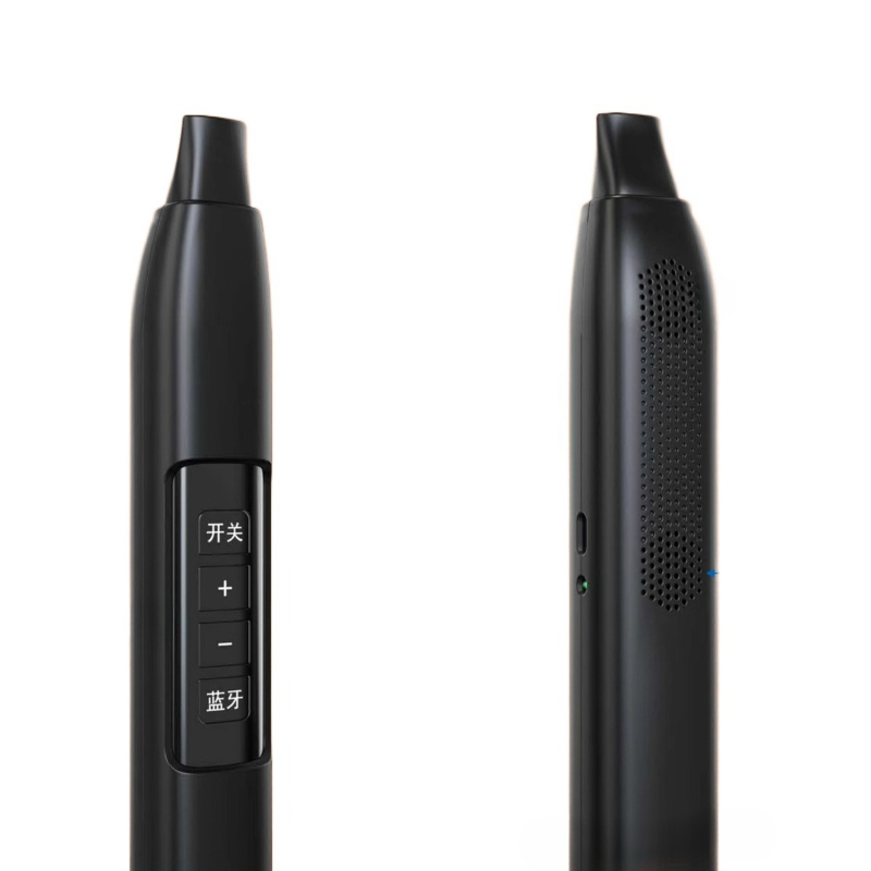 Portable Electronic Wind Instr - đánh giá và giá Musical Instrument For Beginners