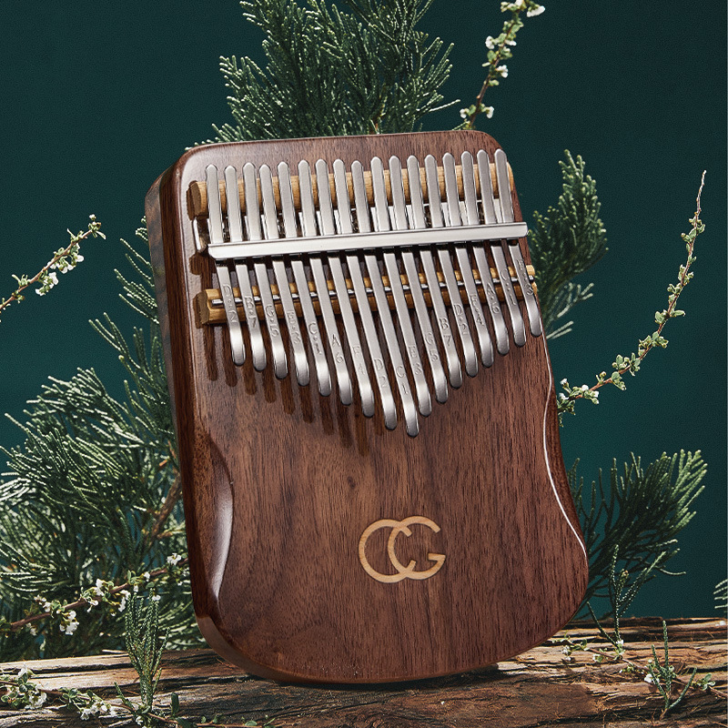 17 21 Phím Ngón Tay Cái Đàn Pi - đánh giá và giá Musical Instrument For Beginners