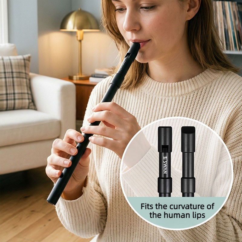 C/D Key Tin Whistle Beginner P - đánh giá và giá Penny Whistle D