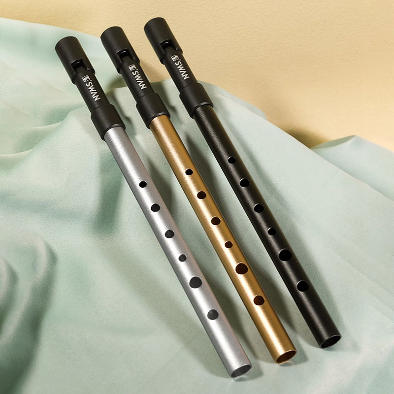 C/D Key Tin Whistle Beginner P - đánh giá và giá Penny Whistle D