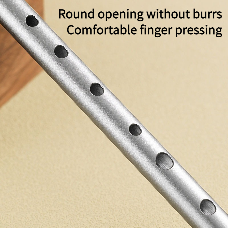 C/D Key Tin Whistle Beginner P - đánh giá và giá Penny Whistle D