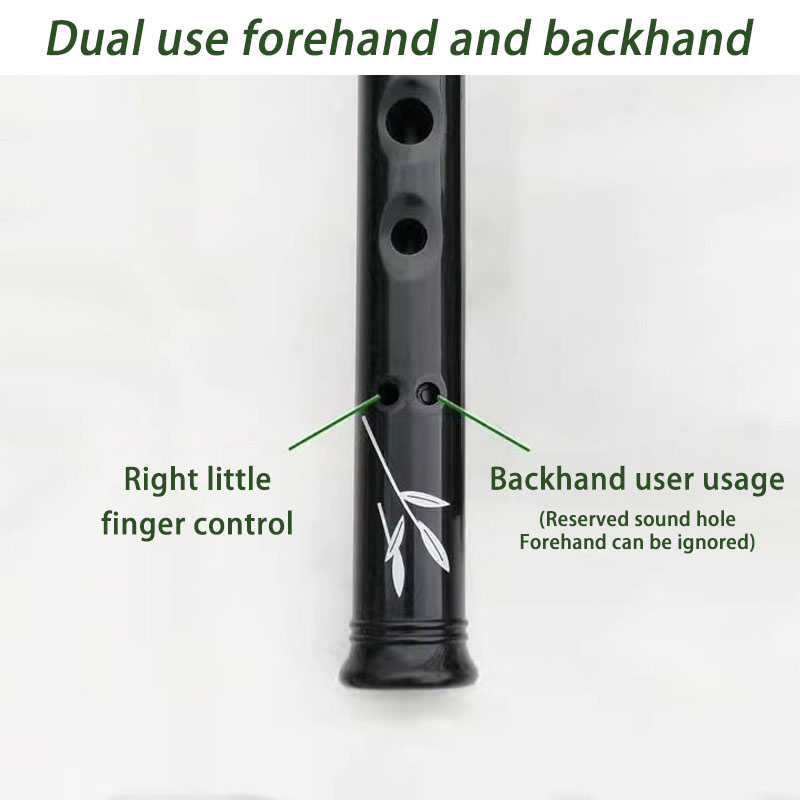 D/C Key Resin Penny Whistle Ad - đánh giá và giá Penny Whistle D
