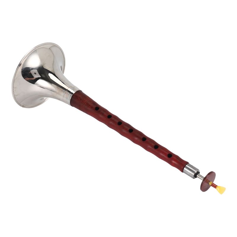 A12E-Chinese Folk Wind Musical - đánh giá và giá Musical Instrument Zurna