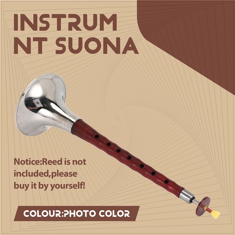 A12E-Chinese Folk Wind Musical - đánh giá và giá Musical Instrument Zurna